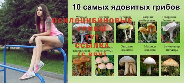синтетический гашиш Рославль